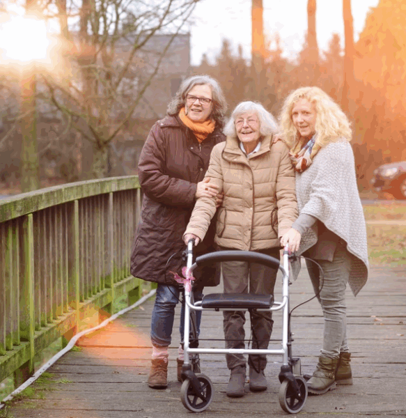 אפוטרופסות